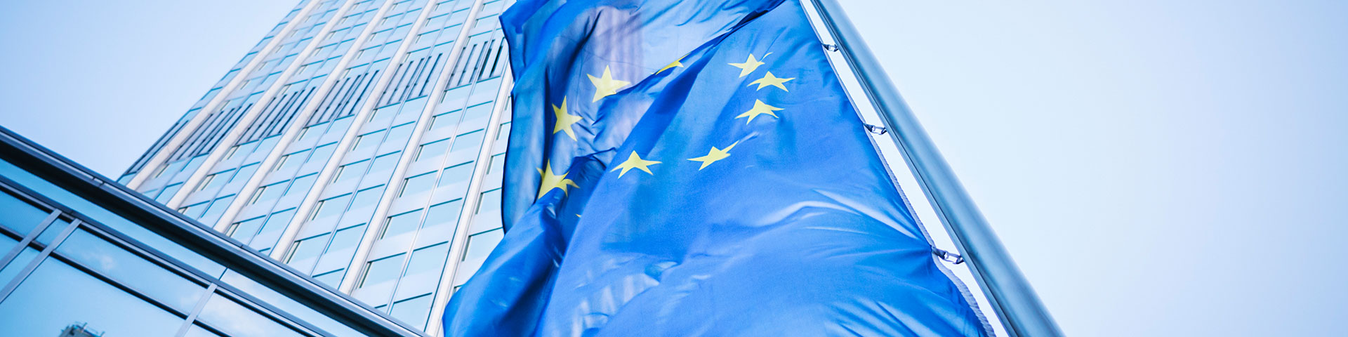 EU-Flagge zu Europäische Wirtschaftspolitik